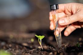 Universal Agro Products India